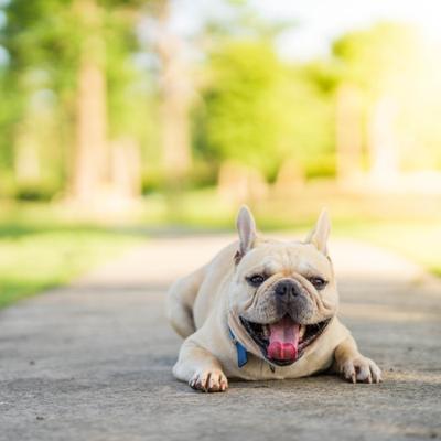 BLOOM Beach Concierge