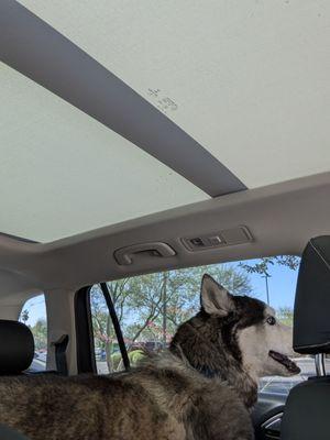 Woof Gang Bakery & Grooming Palm Valley