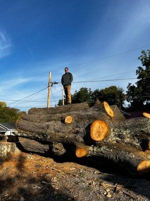 Hendricks Tree Experts
