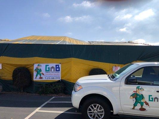 GnB Pest Control & Termite