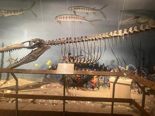 Glendive Dinosaur & Fossil Museum