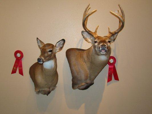 Outdoor Addictions Taxidermy