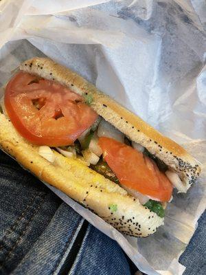 Chicago Style Hot Dog