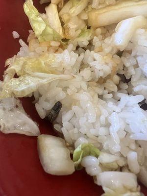 Love Love Teriyaki & Sushi