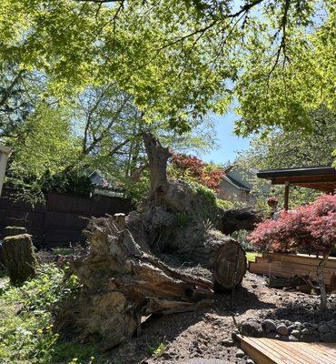 Chip Away Stump Grinding