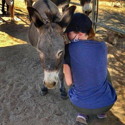 Saving Grace Animal Sanctuary