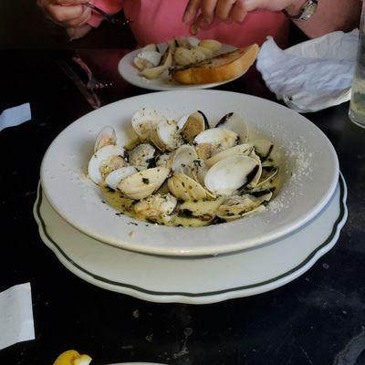 Littleneck clams in a delicious broth!