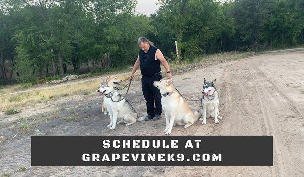 Grapevine K9