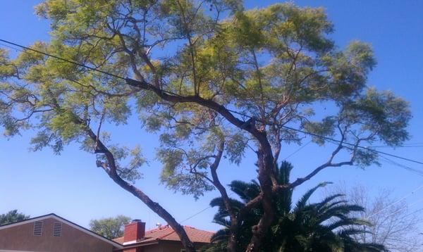 John's Quality Gardening