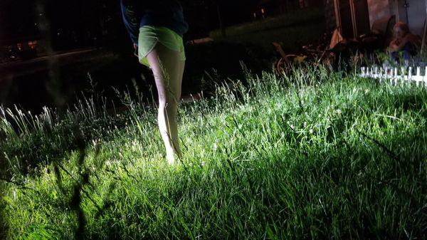 Lecoma Ridge Apartments