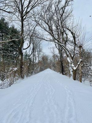 Snowy Monon Trail, before they were able to plow the snow away.