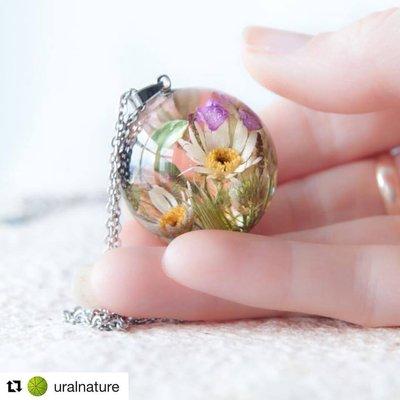 Owl & Rabbit Gallery