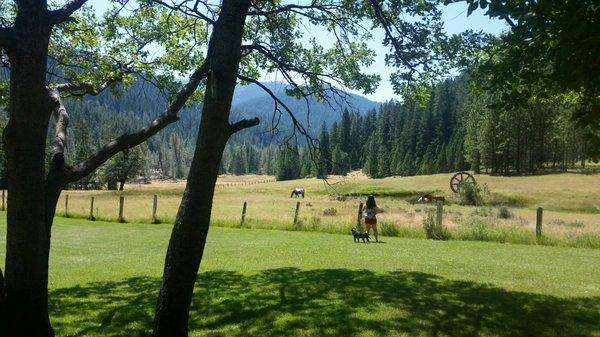 View from the tasting area