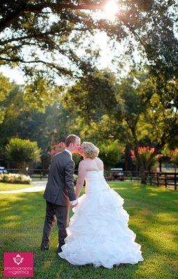 Centaur Arabian Farms