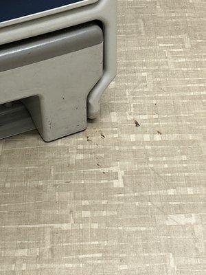 Spokane Urgent Care valley - CHAS Health