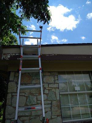 Only Option Handyman Service