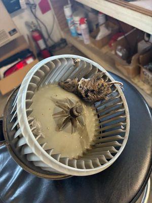 Taos Offroad & Performance