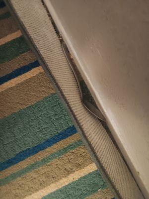 Super 8 by Wyndham Batesville