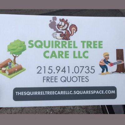 Squirrel Tree Care