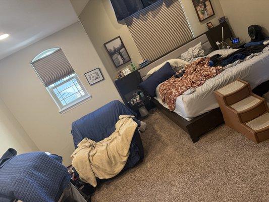 Maribel Cleaner House