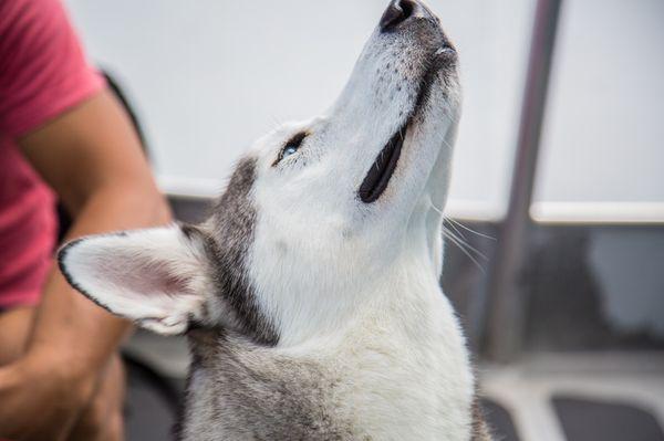 Berkshire Hathaway Productions