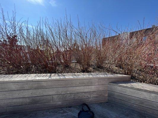 Brooklyn Public Library - Greenpoint Library