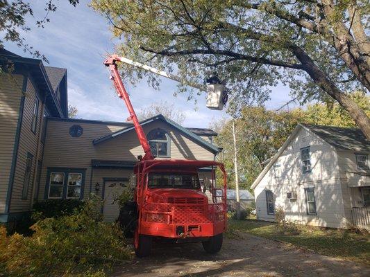 Affordable Tree Service