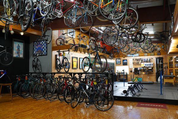 Matthews Bicycles