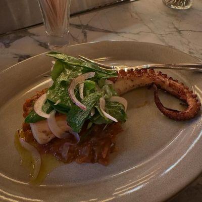 Octopus with tomato ragu and herb salad.