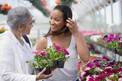 Elderly Companionship