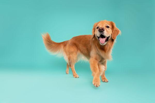 Duct King Studio City