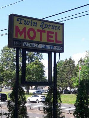 I did notice a few pine trees.