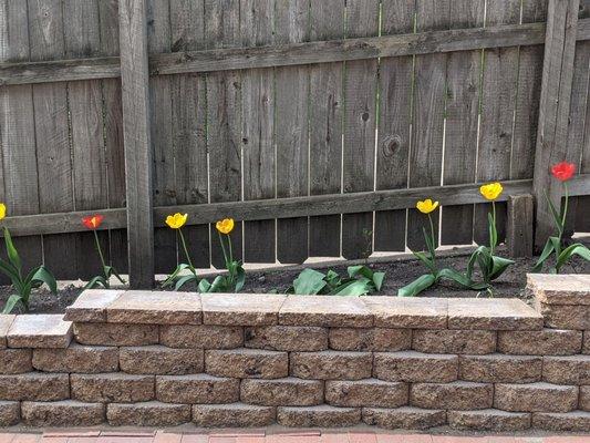 Inspired Landscaping