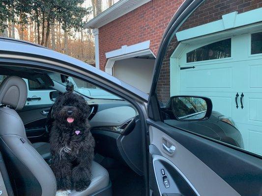 Custom Sun Control Glass Coating & Tinting