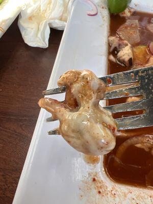 Slimy nearly transparent oyster