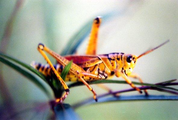 Photography By Celia