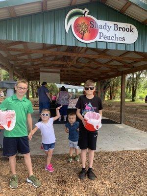 Shady Brook Peaches