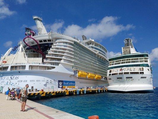 Paradise Travel Team