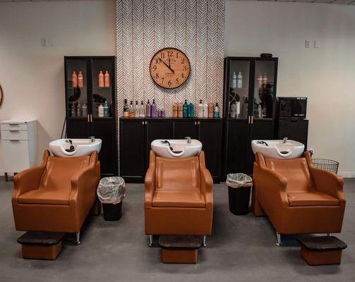 Wild Bloom Salon