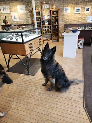 Magpie Jewelry & Metals Studio