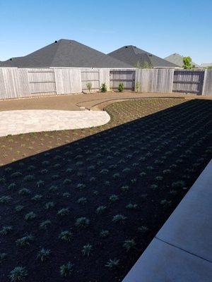 Down To Earth Landscaping & Maintenance