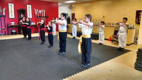 Ten Tigers Kung-Fu Academy