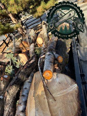 Tree & Landscaping Care Certified