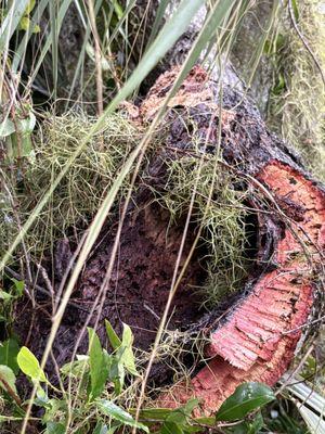 KC Land Clearing and Debris Removal