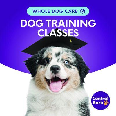 Central Bark Aurora Fox Valley