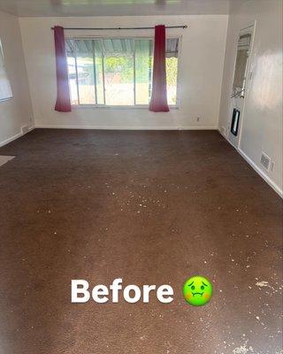 Brink's Carpet & Upholstery