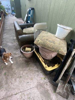 Güeros Trash Pick Up