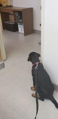 Bishop Veterinary Hospital