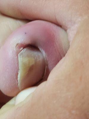 Cosmo Nails and Gifts