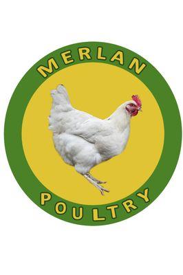 Merlan Fresh Poultry